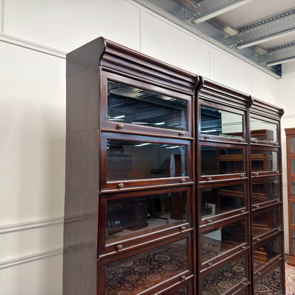 Bibliothèque Globe Wernicke classique en anglais