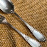 Fork and spoon set in silver metal