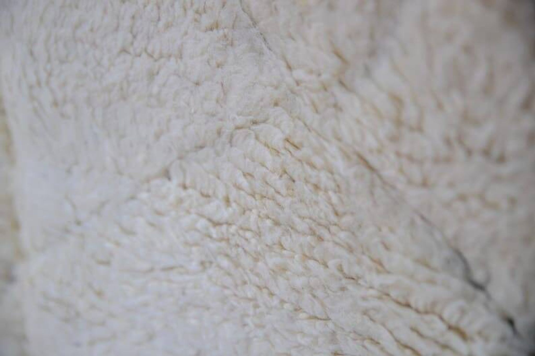 Handmade traditional Moroccan wool rug size 150x250 cm.