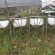 4 fauteuils acier tubulaire soudé seventies