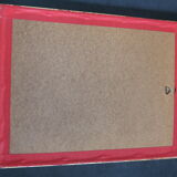 Framed engraving by P.J. Redouté Rosier de Cels