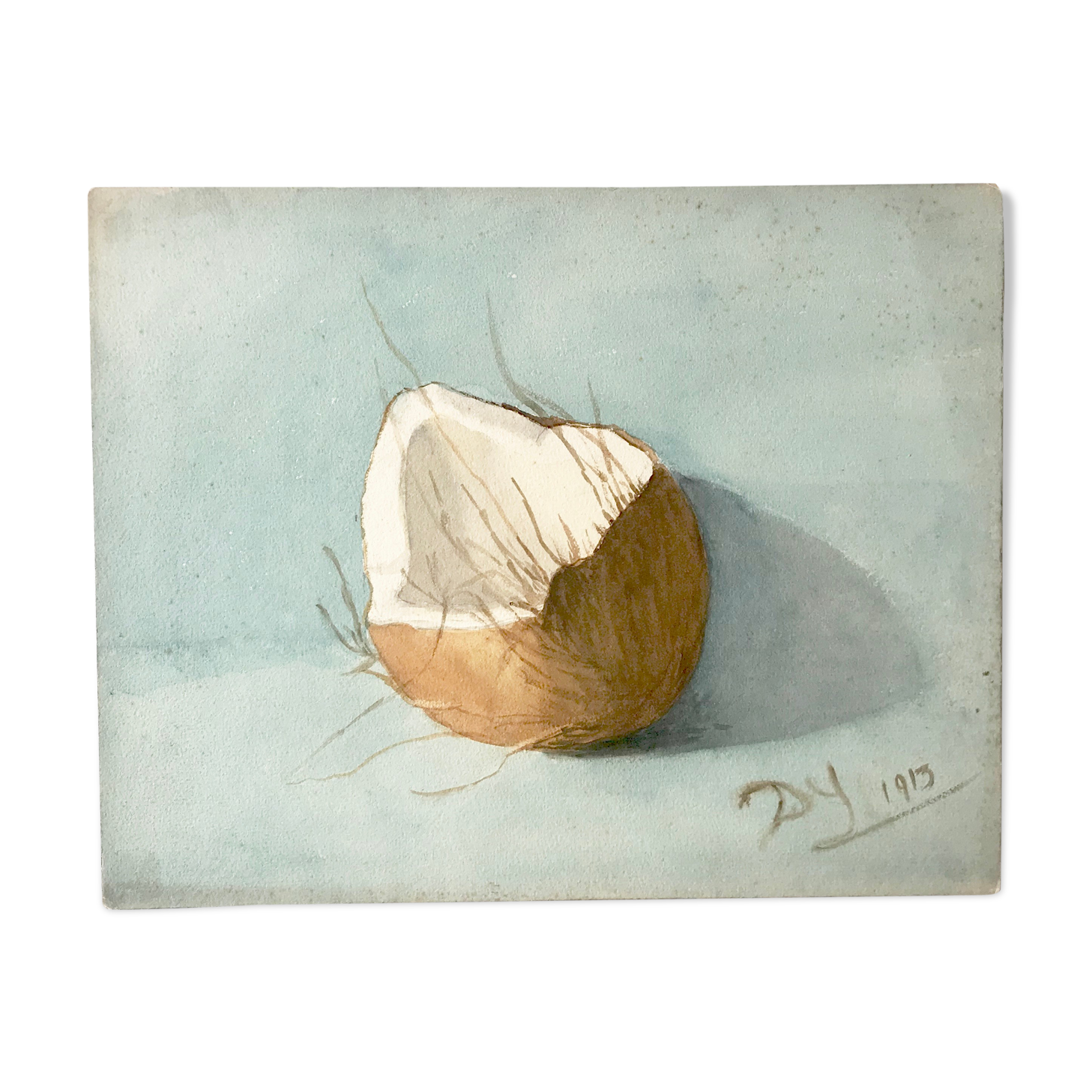 Ancient watercolor depicting an open coconut