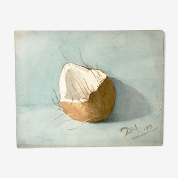 Aquarelle ancienne représentant une noix de coco ouverte