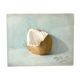 Ancient watercolor depicting an open coconut