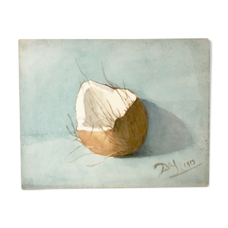 Aquarelle ancienne représentant une noix de coco ouverte