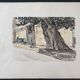 André Duculty (1912-1990) Watercolor on paper "Place de l'ormeau à Ramatuelle" Signed below