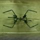 Abstract wrought iron and ice glass coffee table, Germany 1970s