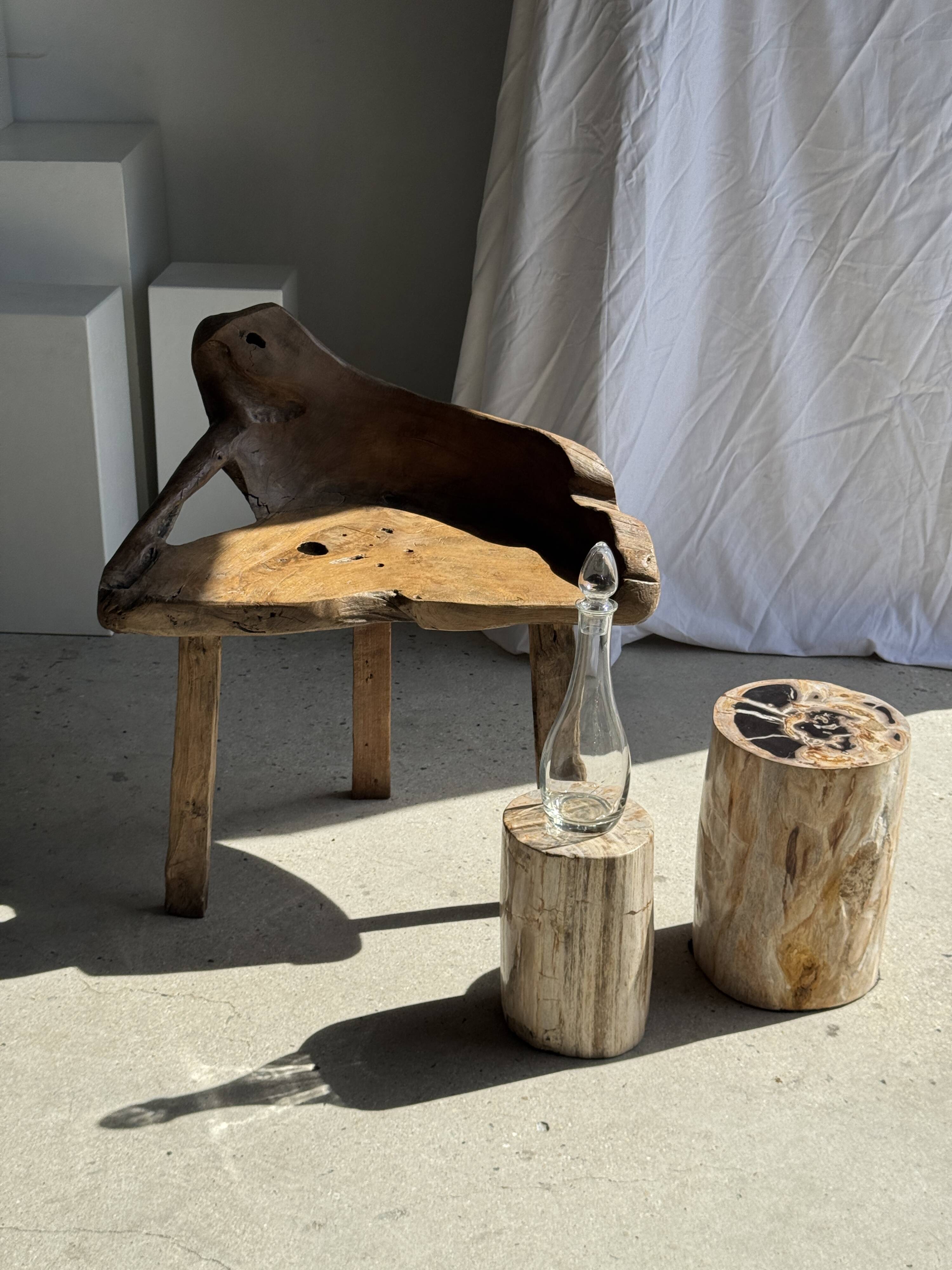 Multicoloured petrified wood side table H45 D24 - 3329