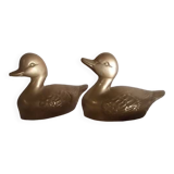 Canards laiton