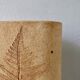 Ceramic vase decorated herbarium by Raymonde Leduc, Vallauris
