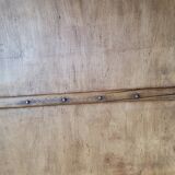 Old trunk