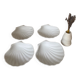 Raw scallop bowls