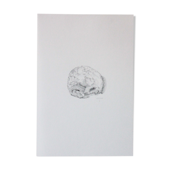 Chocolate bread - original design signed