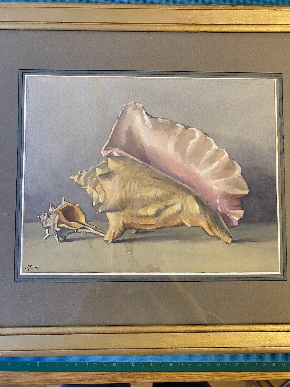 Old painting, still life with shells, 20th century