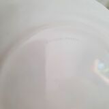 6 Arcopal dessert plates