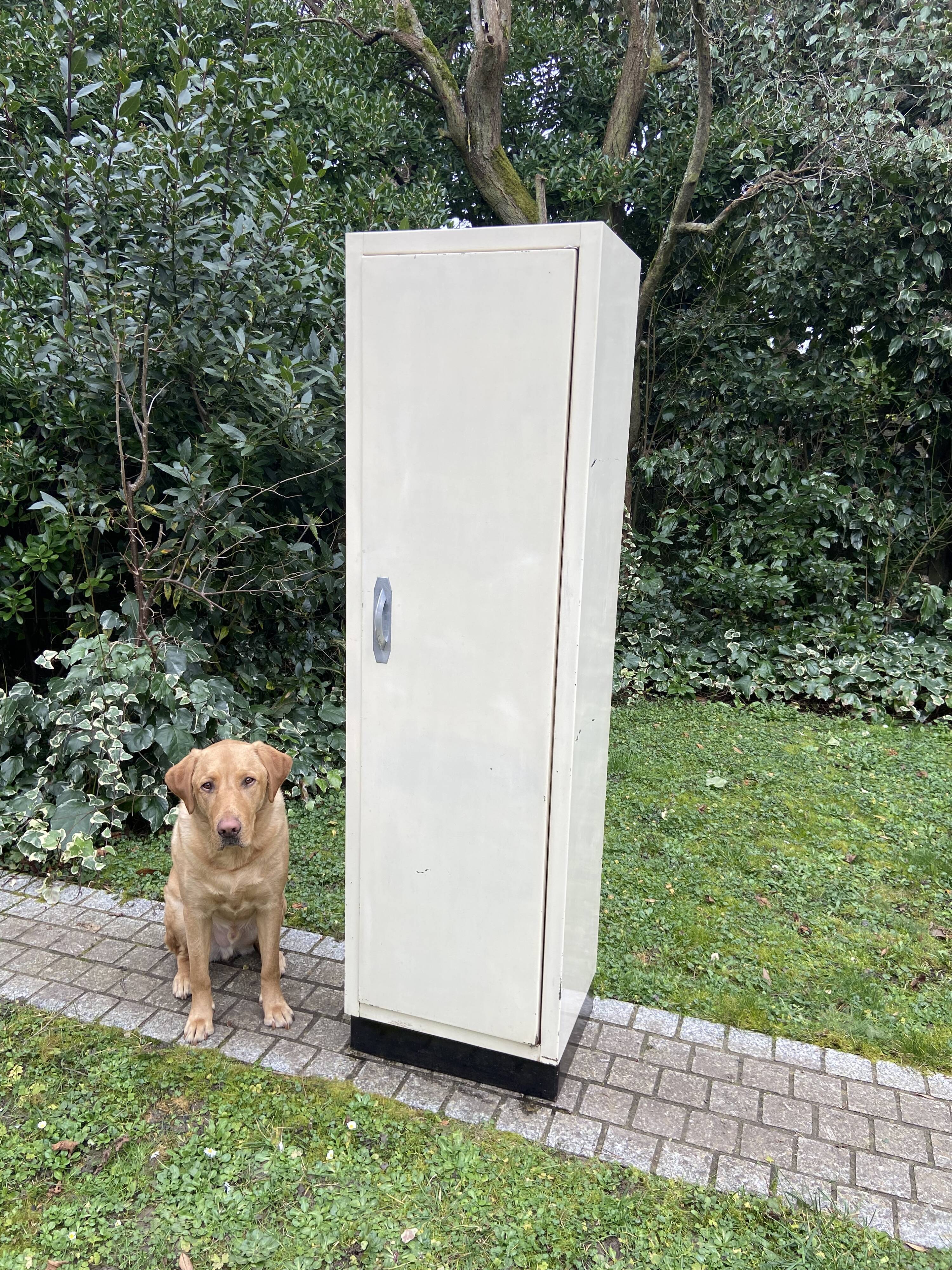 Vintage metal cabinet 1950