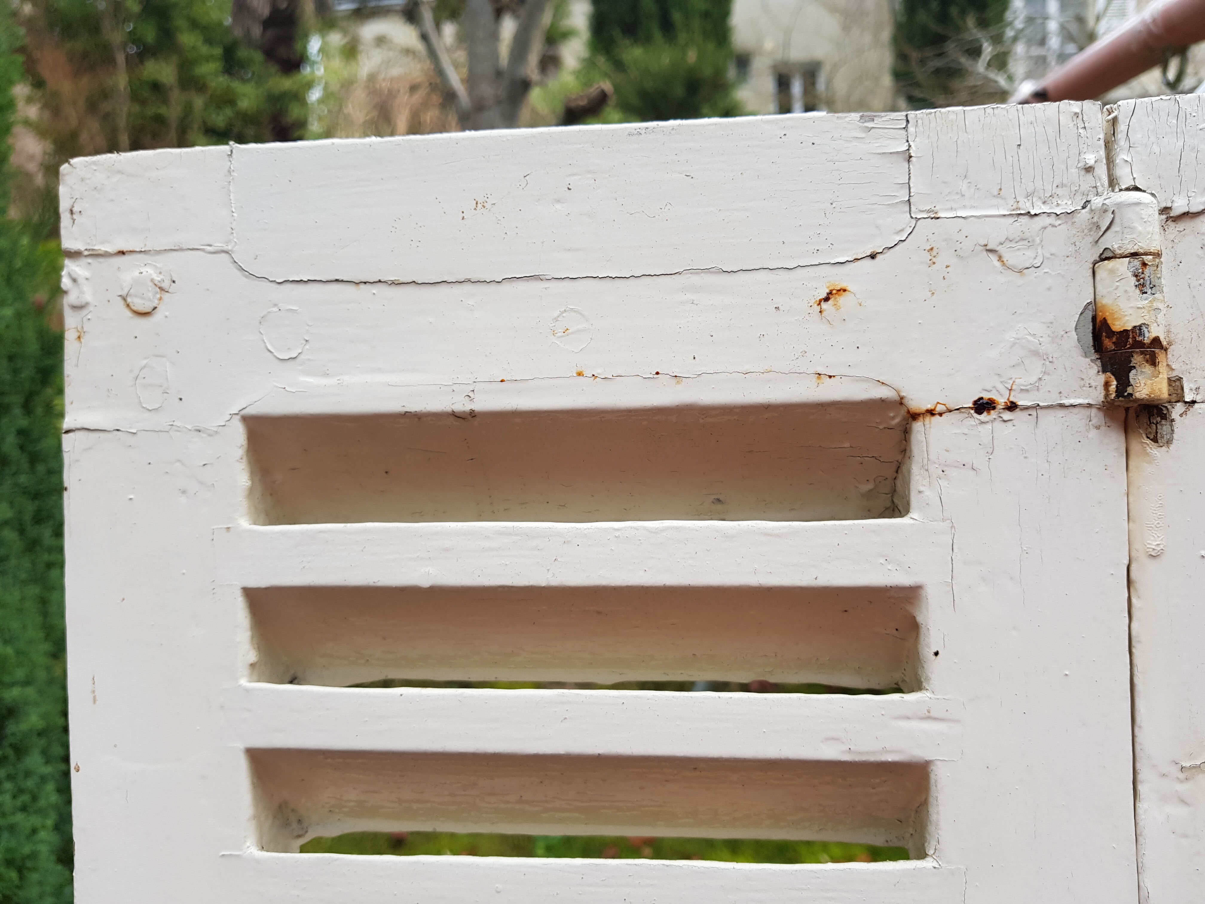 Pair of old shutters with louvers