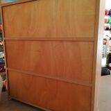 Vintage showcase bookcase