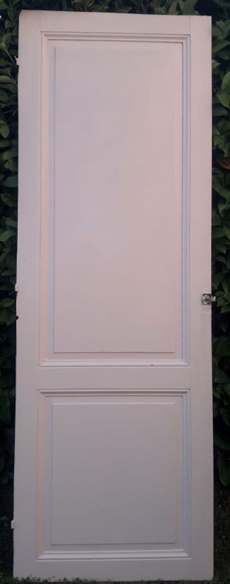 Porte 229,2x79,2cm de placard ancienne