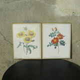 Gravure de fleurs de Pierre-Joseph Redouté