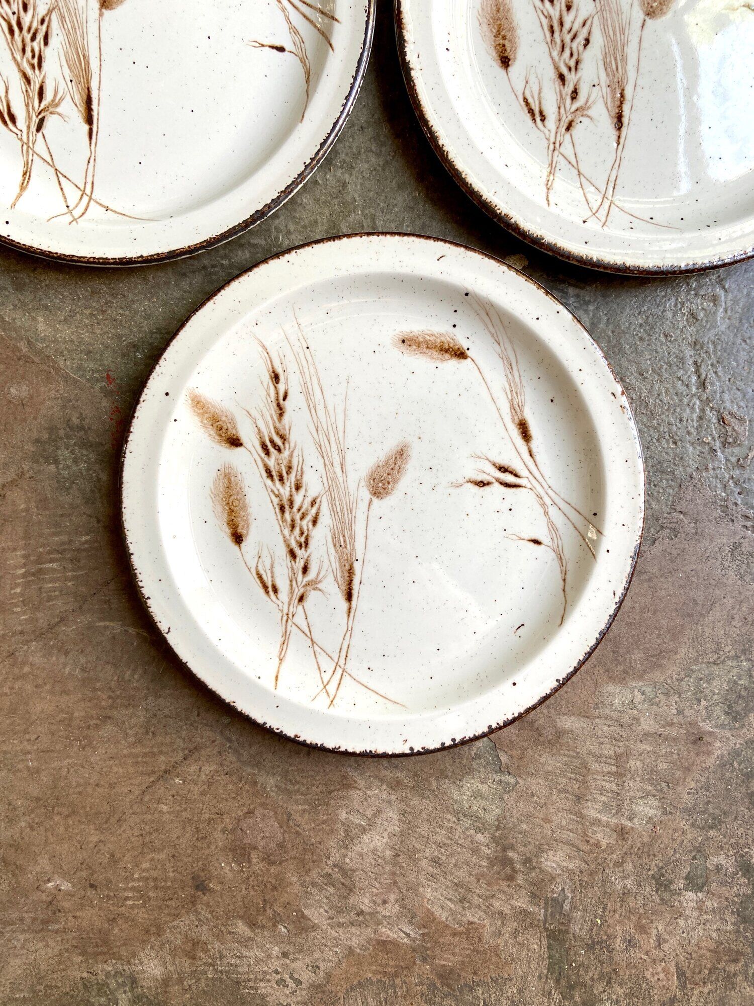4 flat plates Midwinter in glazed stoneware, service "Wild oats"