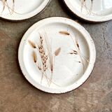 4 flat plates Midwinter in glazed stoneware, service "Wild oats"