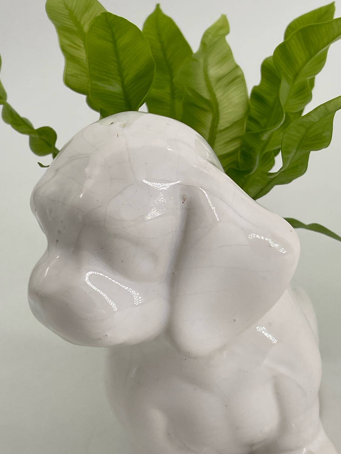 Cache pot chien en porcelaine blanc vintage