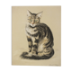 Basile Titoff - Large Signed Lithograph - Elf Cat