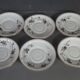 Old coffee set 8 pcs porcelain decoration painted with grapefruit around 1900