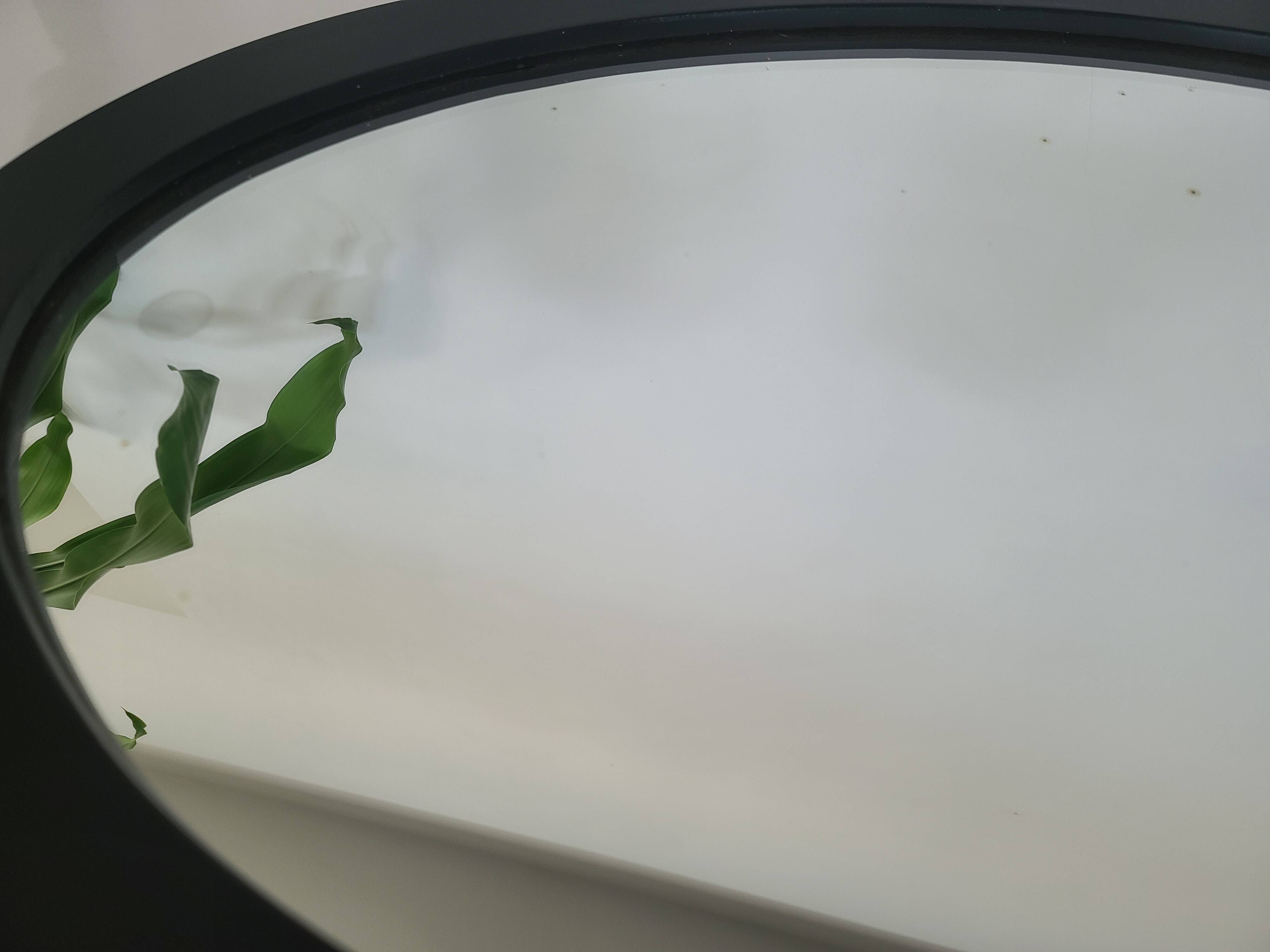 Modern Style Black Oval Wall Mirror