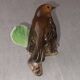 Antique porcelain figurine, robin bird / Rotkehlchen / Robin Goebel