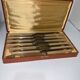 Coffret de 12 couteaux de table Inox