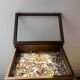 Vitrine / Collection de papillons anciens - 62 papillons