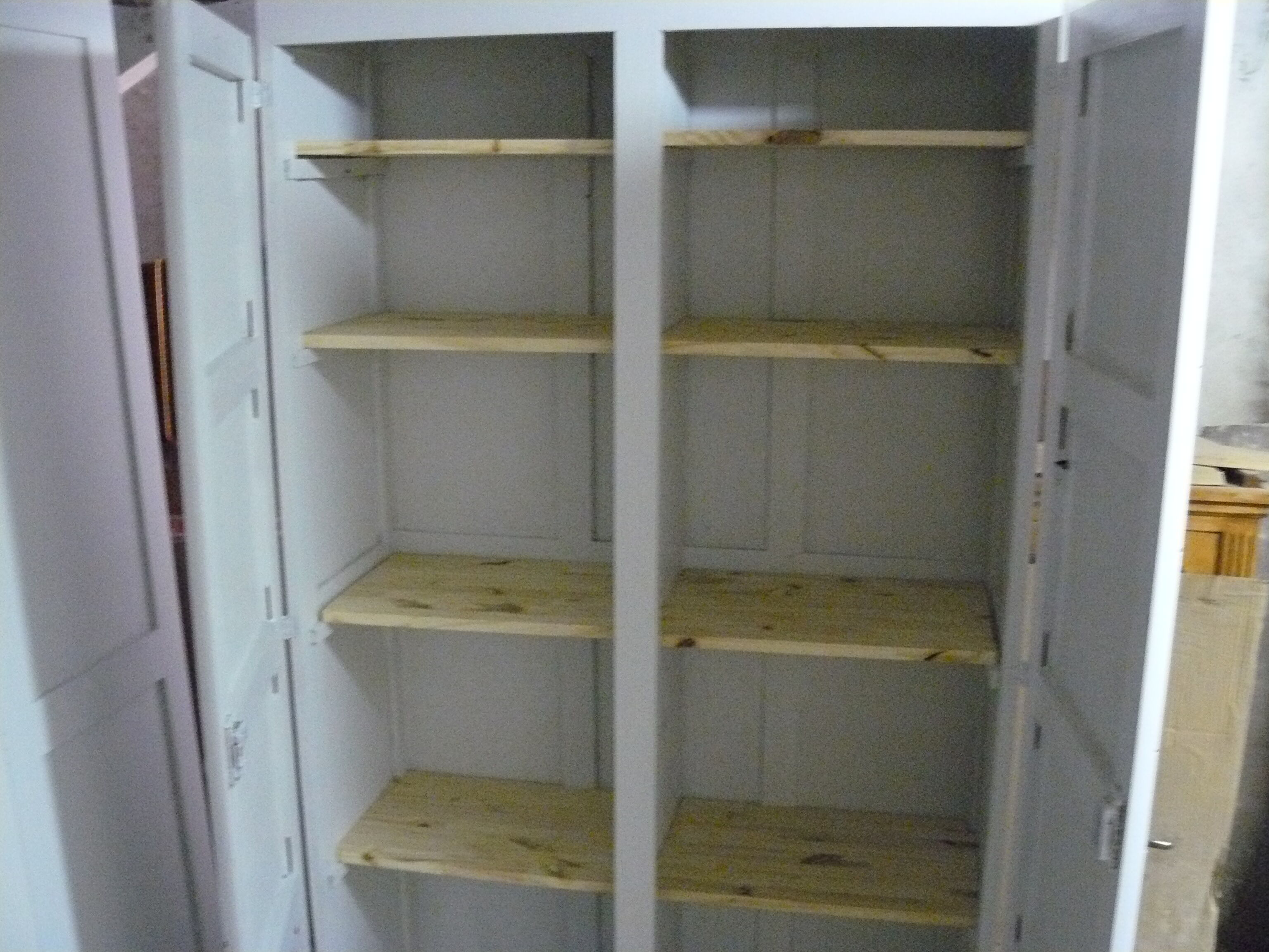 Wardrobe doors parisiene