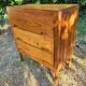 Commode en pin pierre gautier delaye modèle week-end design vintage 50