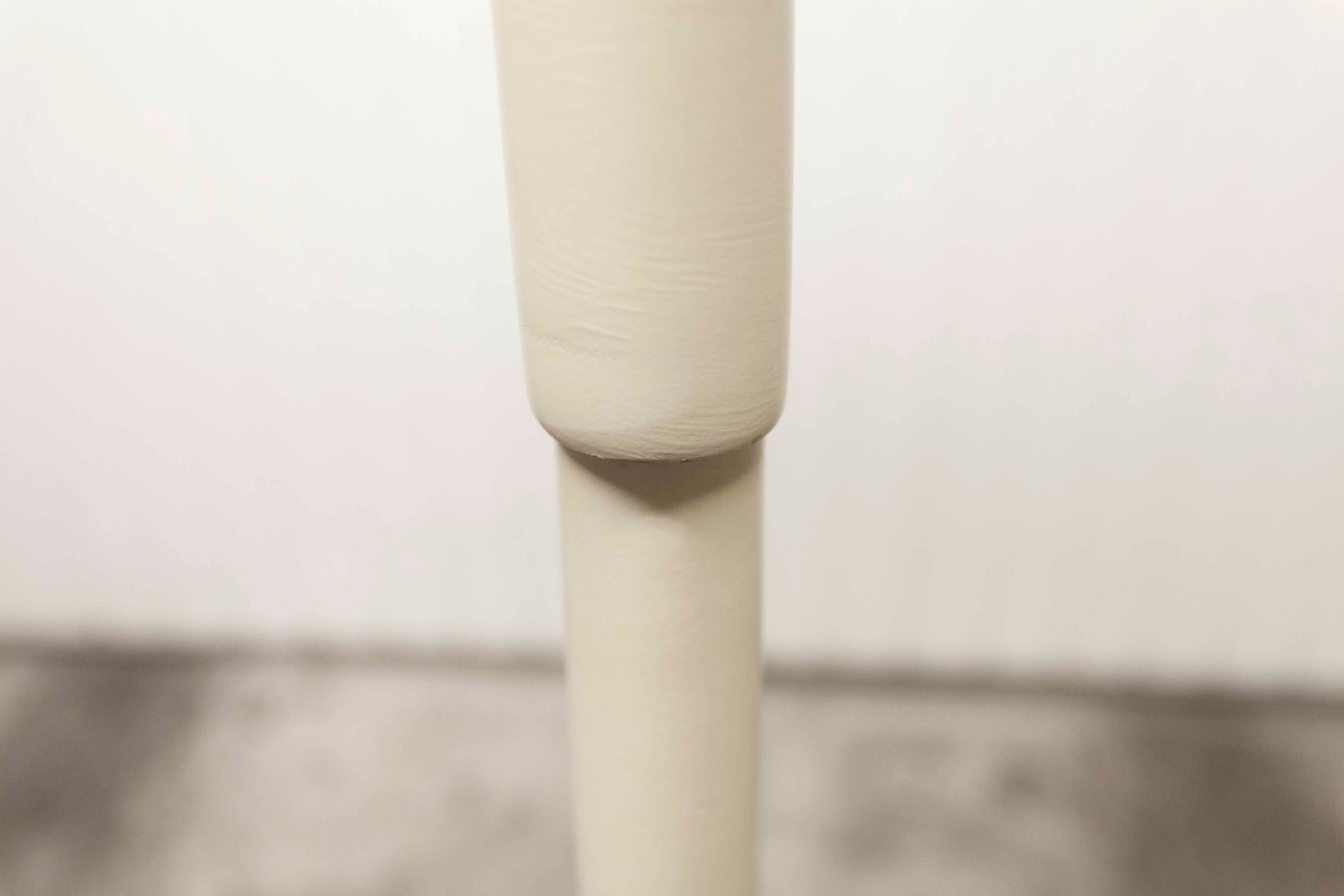 Parrot wears white Baumann coat 1970