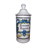 Apothecary pot with pharmacy porcelain of dismissal