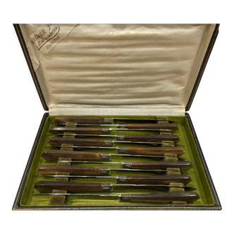 Case of 12 dessert knives horn handle