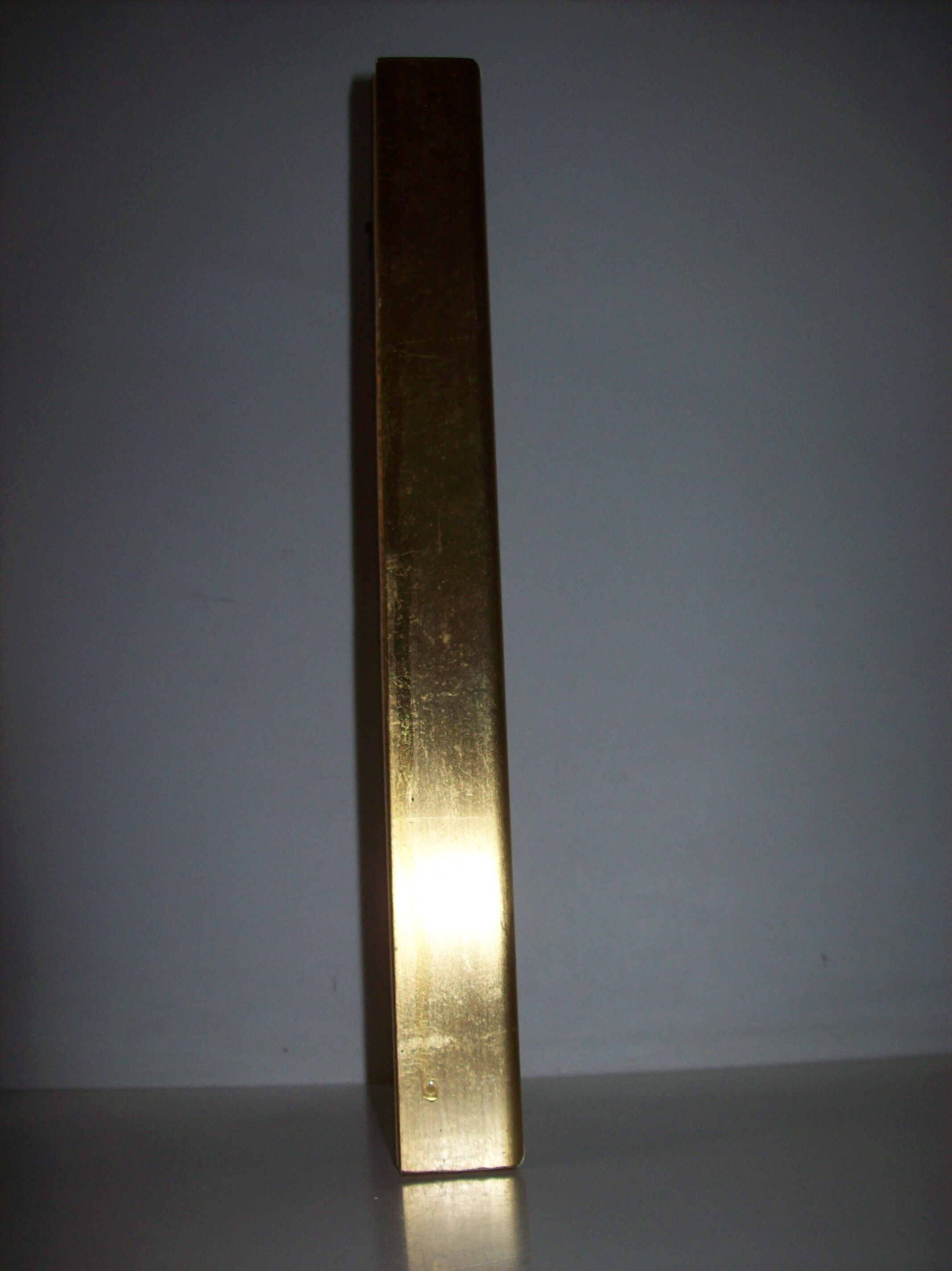 Butterfly stuffed under frame