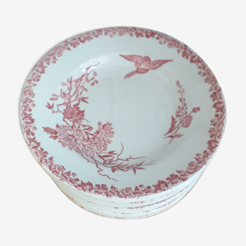 Assiettes creuses en porcelaine FF Pexonne