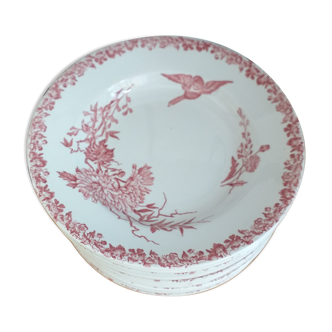 Hollow porcelain plates FF Pexonne