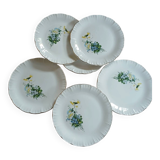 6 antique dessert plates from Digoin and Sarreguemines