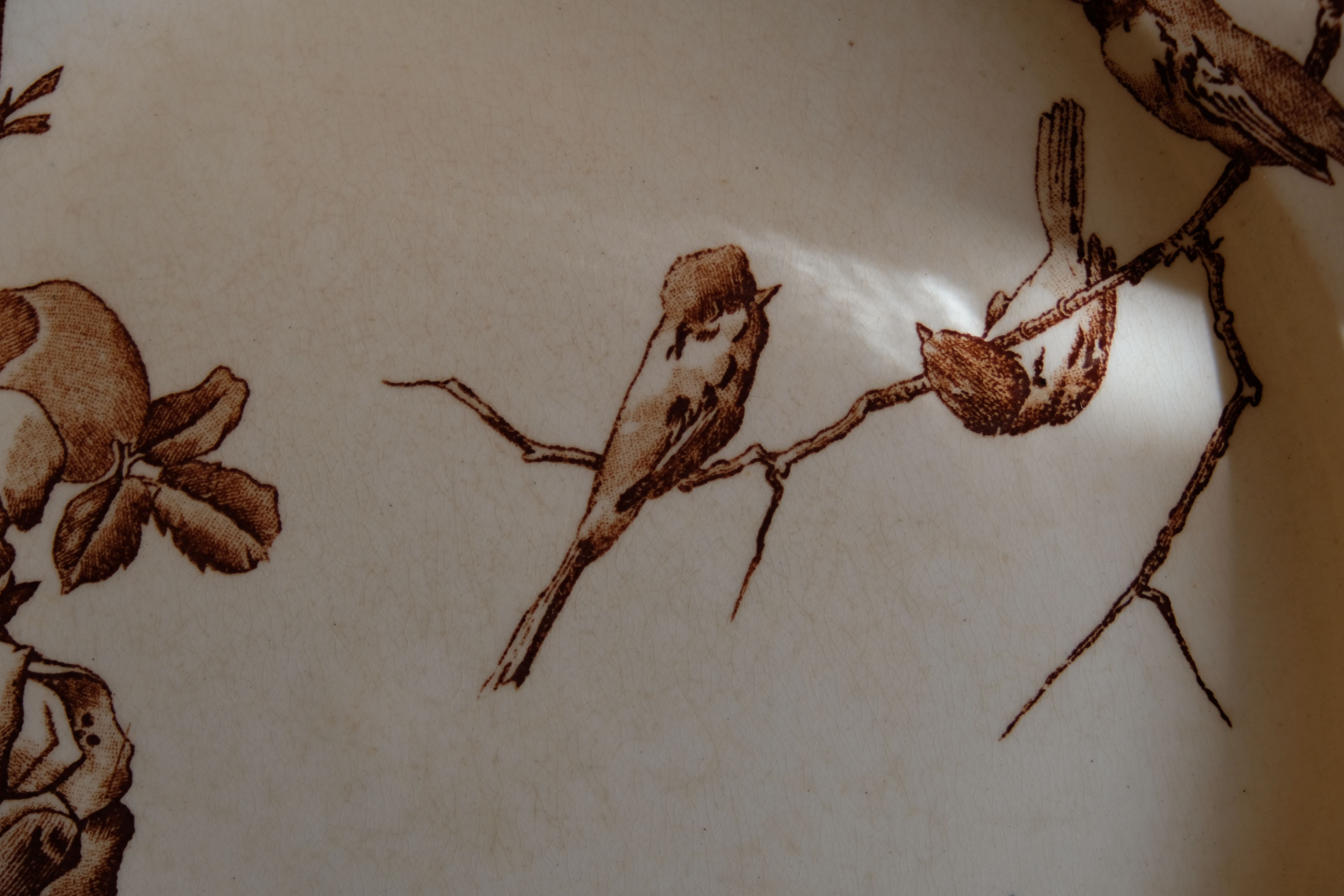 Antique plate model Oxford brown, HB - Co. Choisy-le-Roy , 1900s