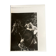 Photograph black and white silver print circa 1970 riding competition