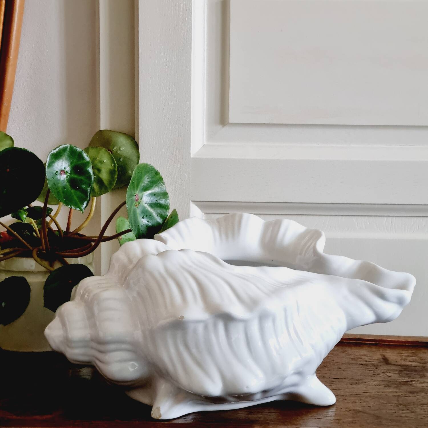 White slip shell pot cover