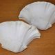 Pair of wall lamps plaster shell circa 1930