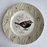 7 antique plates decorated with birds