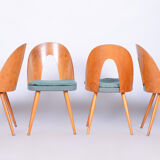 Four Original Midcentury Chairs, Ash, Antonin Suman, Czechia, 1930s