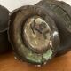 Pair of antique bronze vases - Asia -