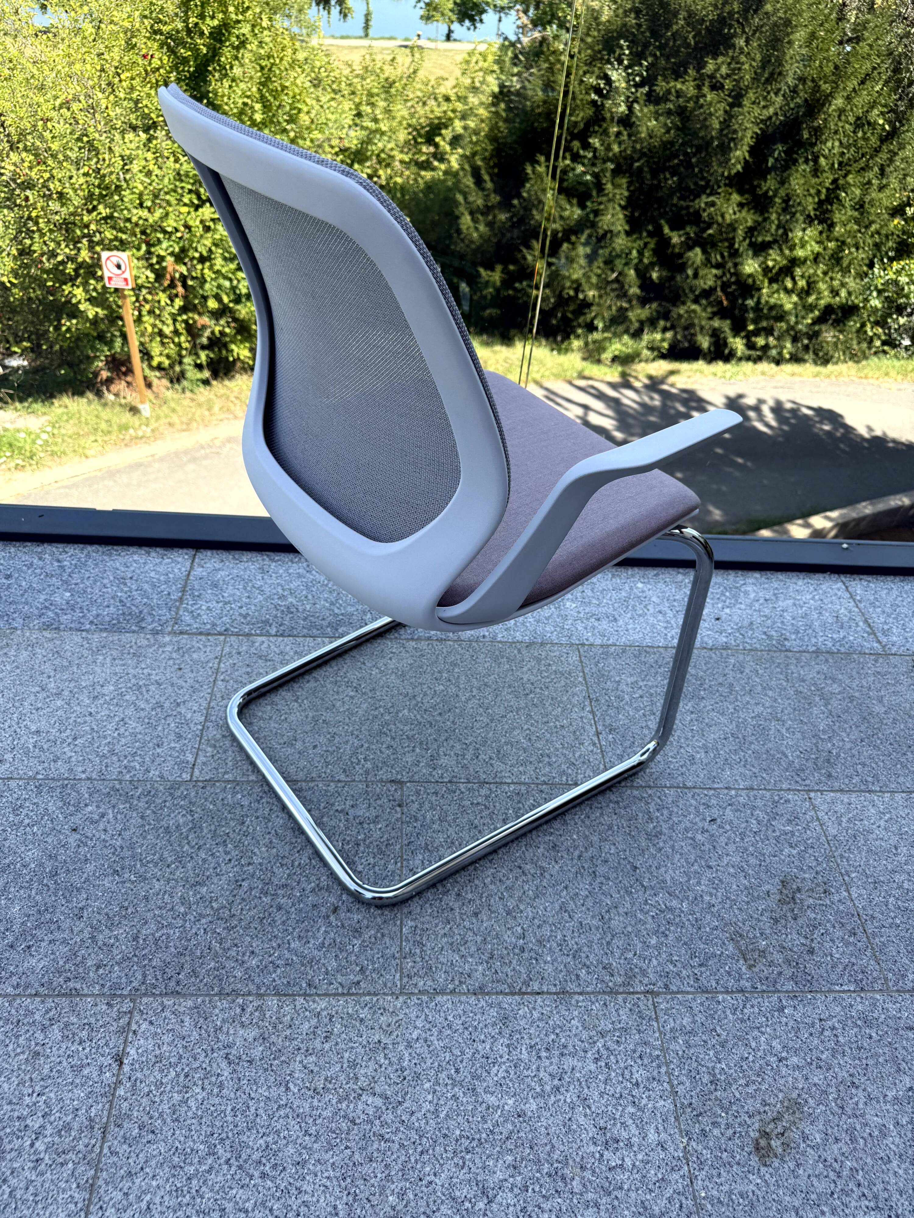 Sedus chair – SE:FLEX Freischwinger